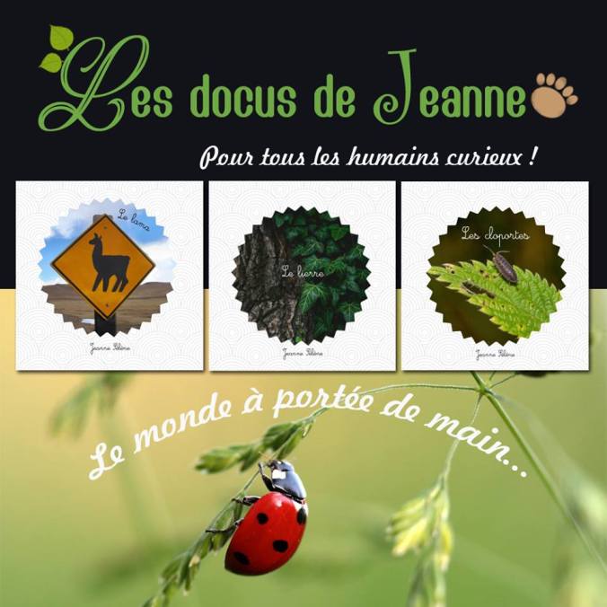 Les docus de Jeanne