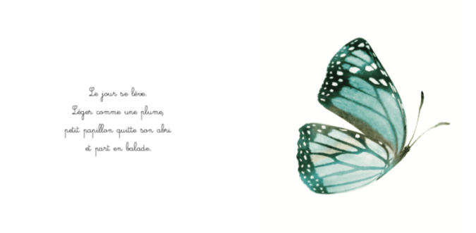 exemple pages la balade du papillon